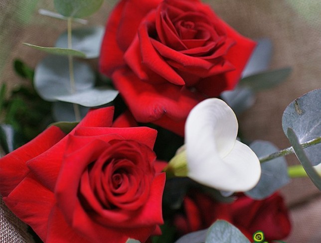 Букет с белыми каллами и красными розами Фото